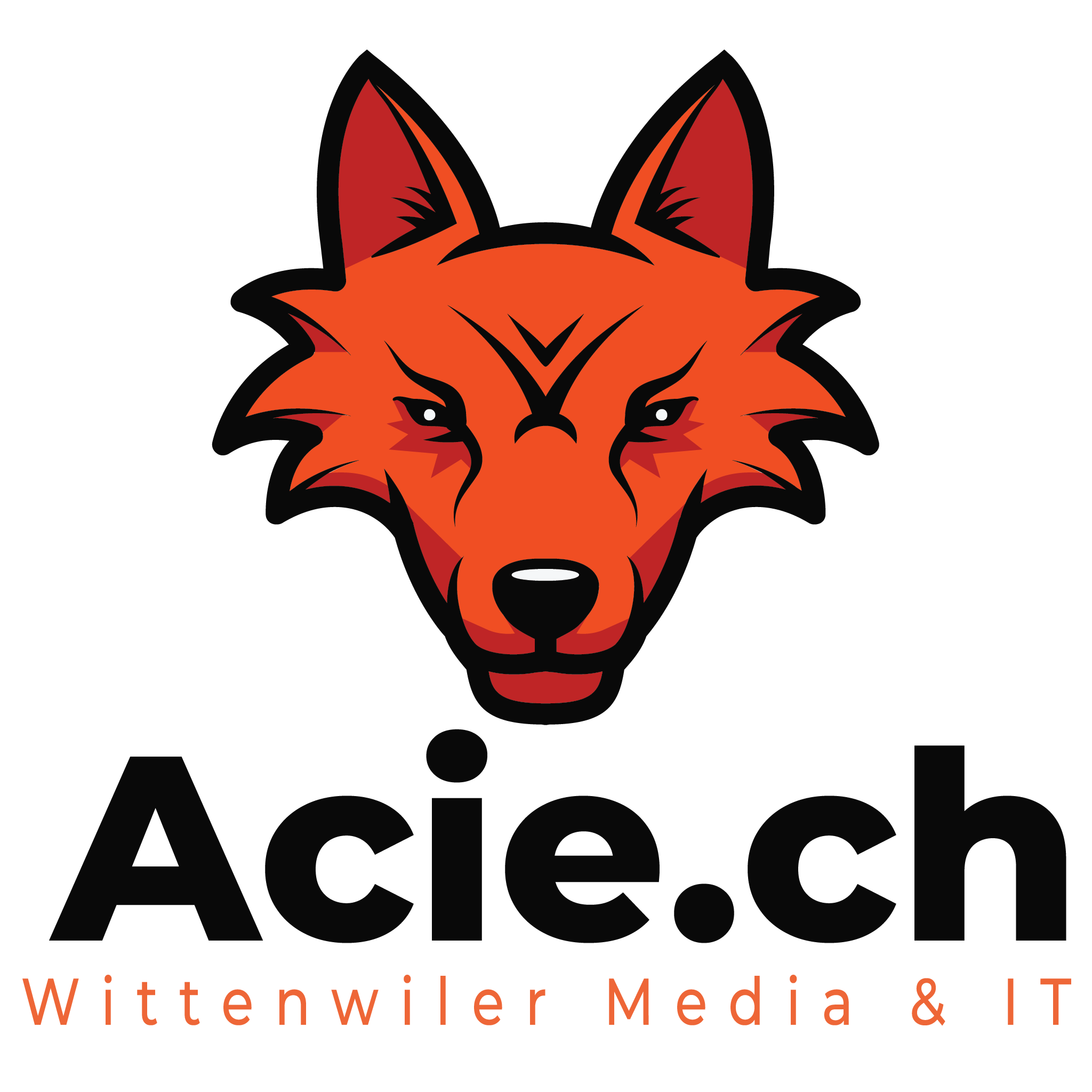 acie.ch - DIY Autodarts Partner für Schweiz